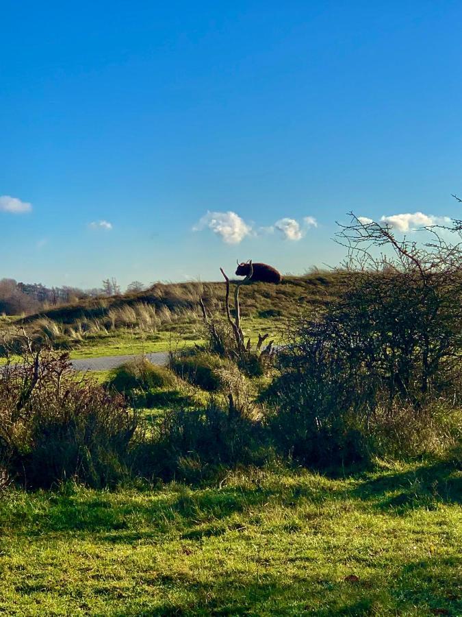 Huize Louwra Villa Egmond-Binnen Exteriör bild