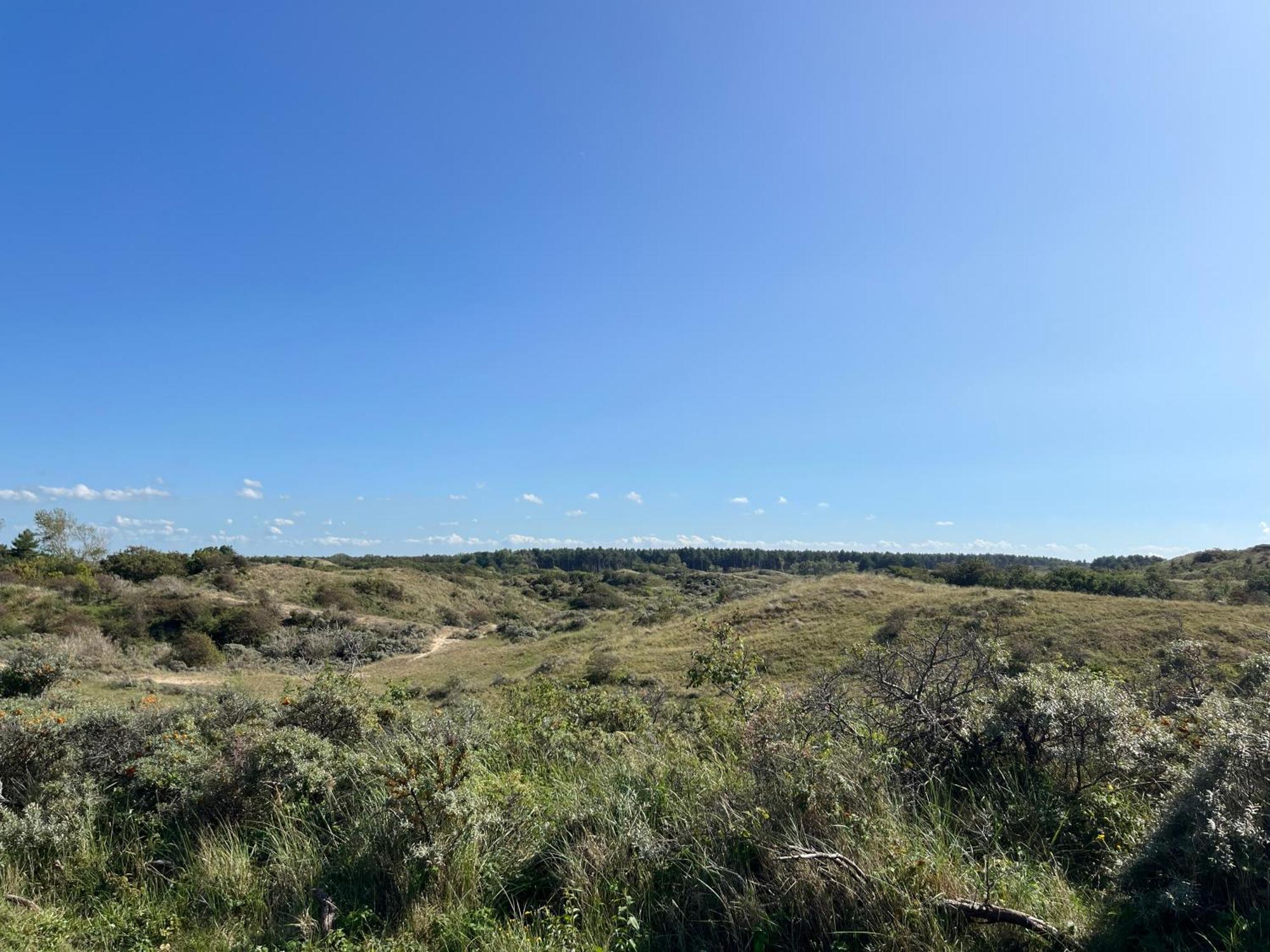 Huize Louwra Villa Egmond-Binnen Exteriör bild