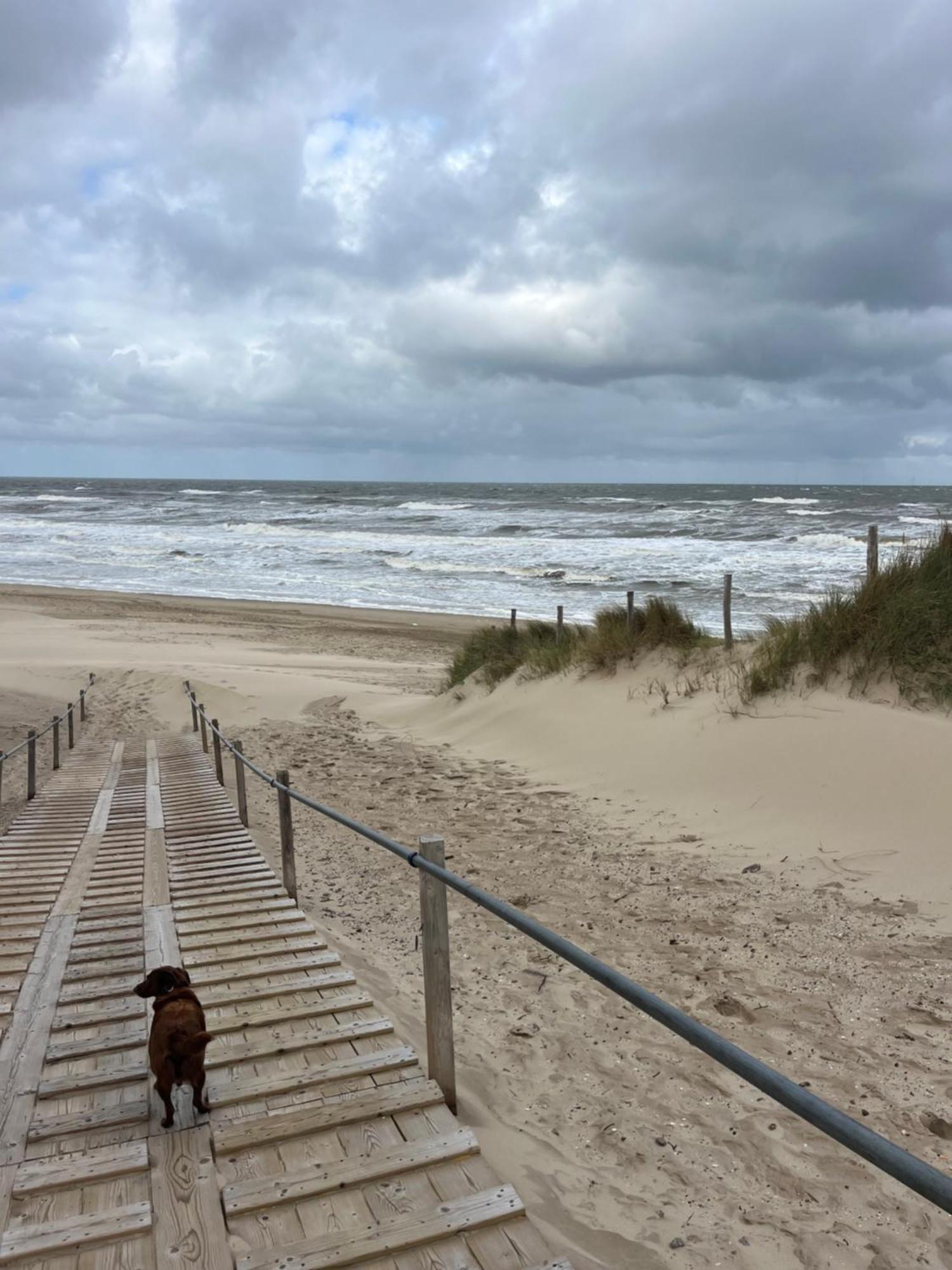 Huize Louwra Villa Egmond-Binnen Exteriör bild